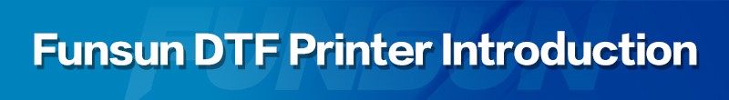 FS-300 Roll to Roll DTF Printer