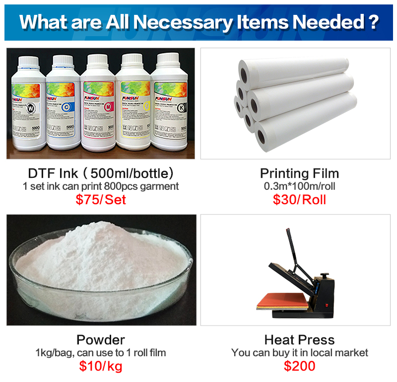FS-300 Roll to Roll DTF Printer