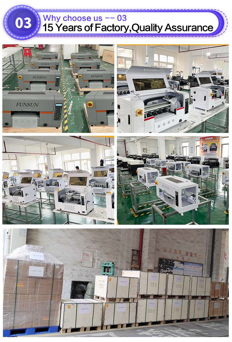 FS-300 Roll to Roll DTF Printer